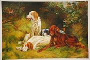 unknow artist Dogs 033 oil painting reproduction